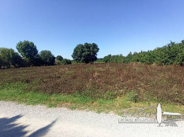 foto principale del terreno