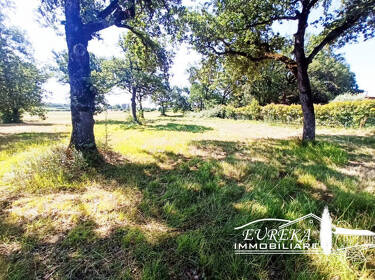 foto principale del terreno