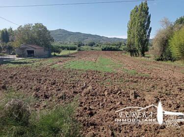 foto principale del terreno