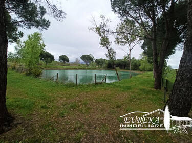 foto principale del terreno