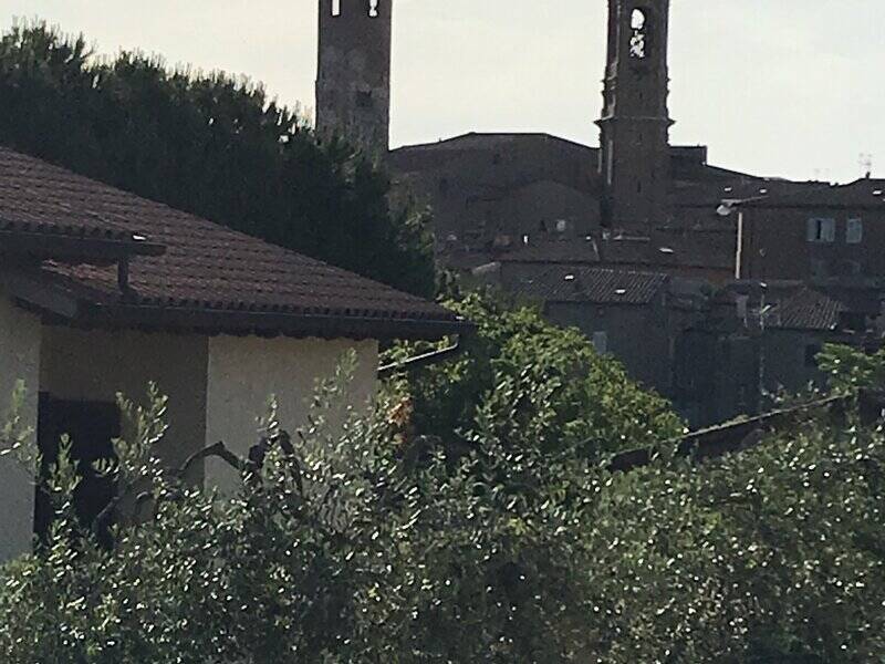 immagine annuncio 1 di 2