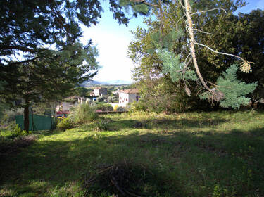 foto principale del terreno