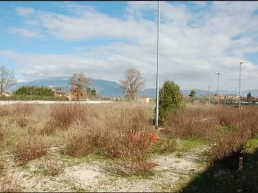 foto principale del terreno