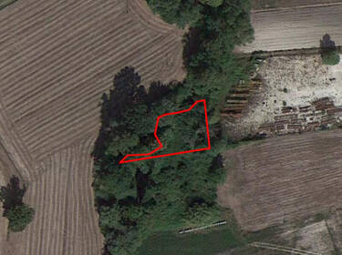 foto principale del terreno