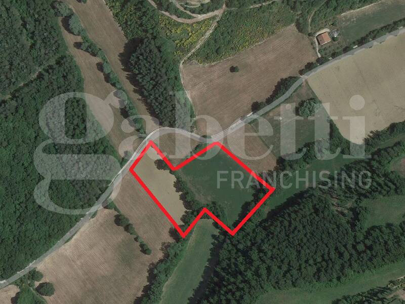 foto principale del terreno