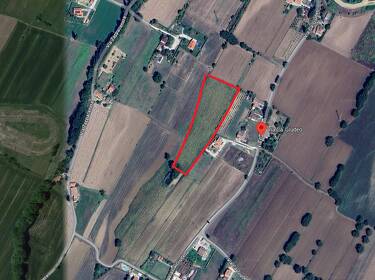 foto principale del terreno