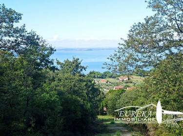 foto principale del terreno