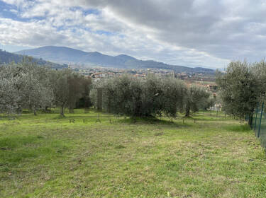 foto principale del terreno