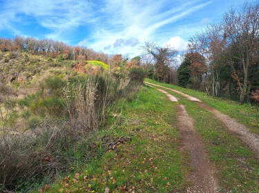 foto principale del terreno