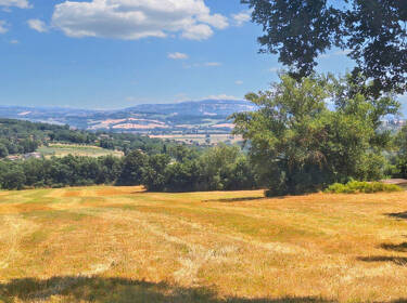 foto principale del terreno