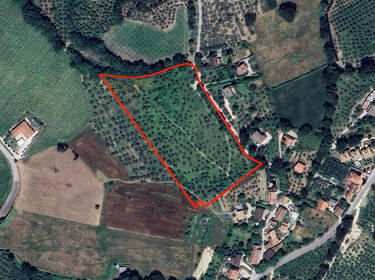 foto principale del terreno