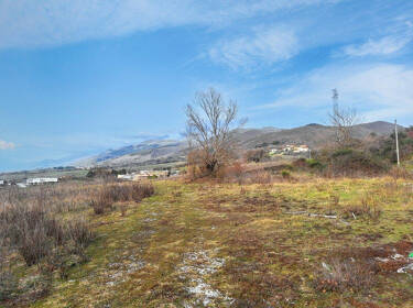 foto principale del terreno