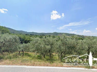 foto principale del terreno