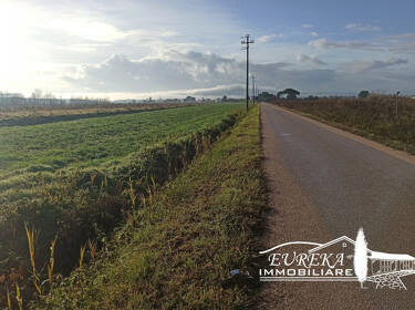 foto principale del terreno