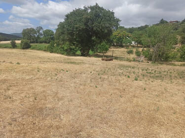 foto principale del terreno