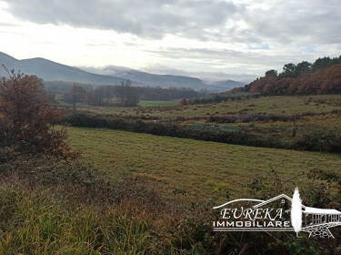 foto principale del terreno