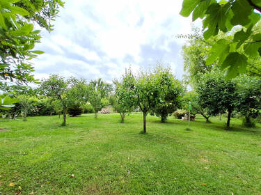 foto principale del terreno