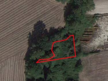 foto principale del terreno