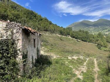 foto principale del terreno