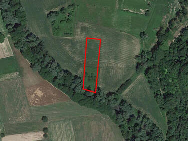 foto principale del terreno