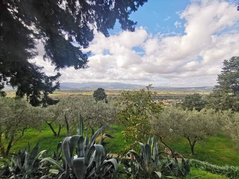 foto principale del terreno