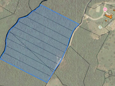 foto principale del terreno