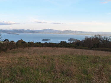 foto principale del terreno