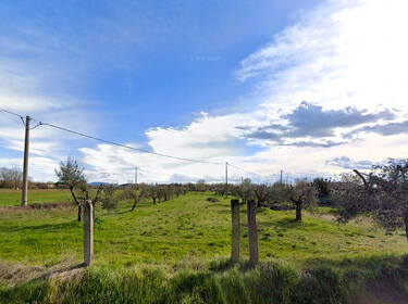 foto principale del terreno