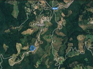 foto principale del terreno