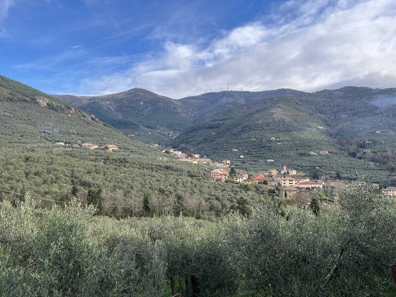 foto principale del terreno