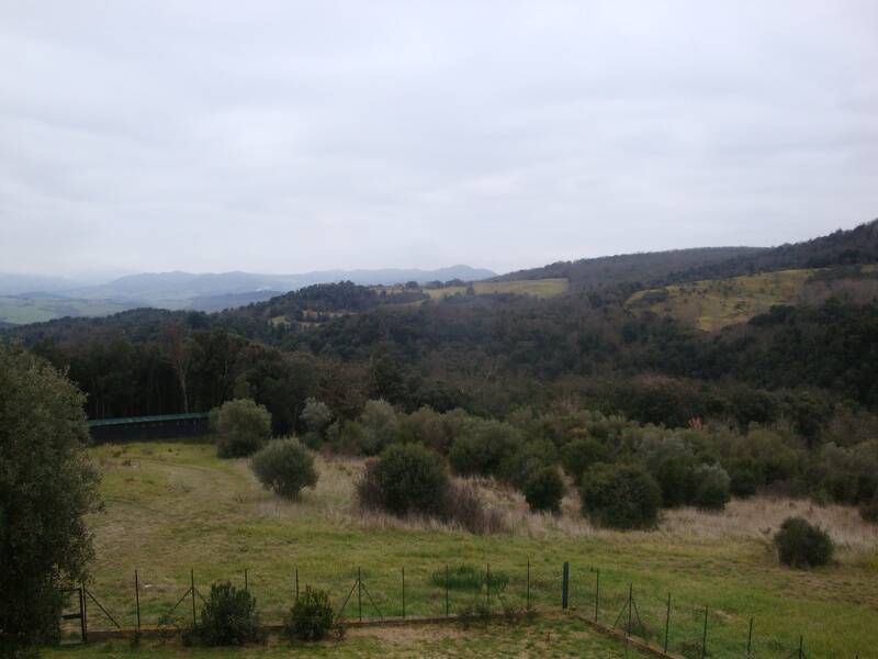 foto principale del terreno