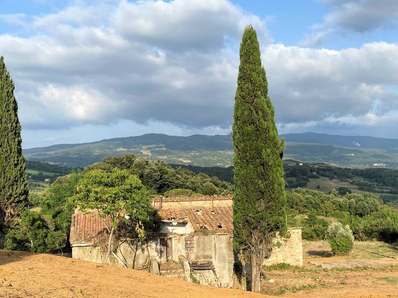 foto principale del terreno