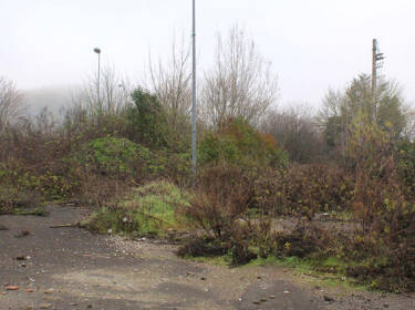 foto principale del terreno