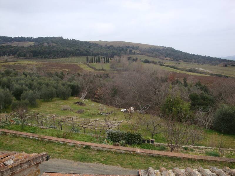 foto principale del terreno