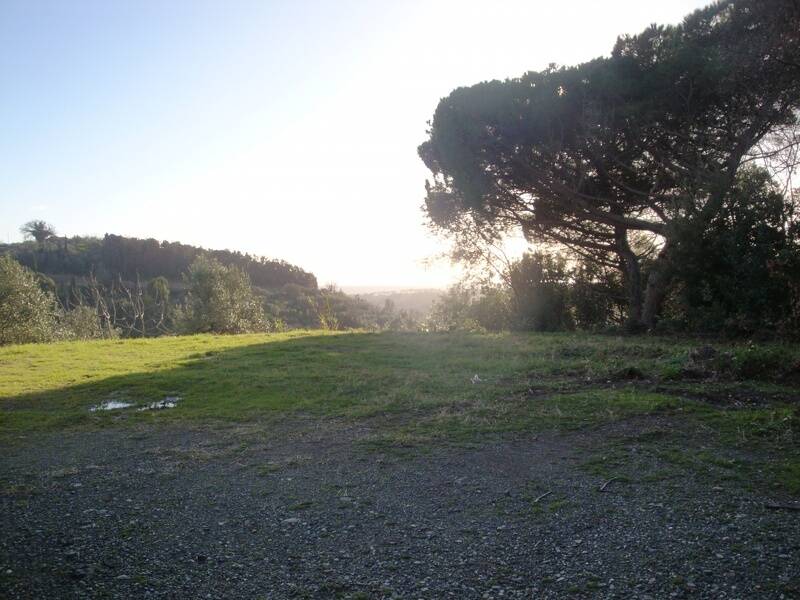 foto principale del terreno