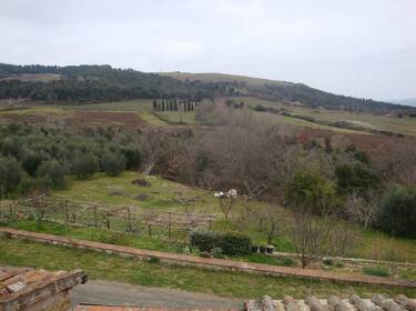 foto principale del terreno