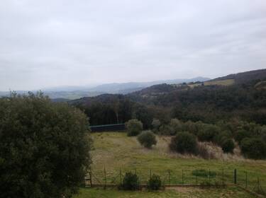 foto principale del terreno