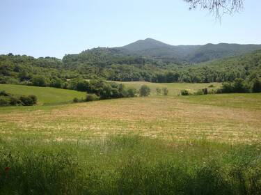 foto principale del terreno