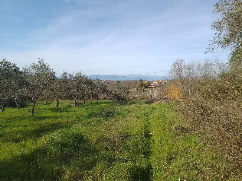 immagine annuncio 1 di 4