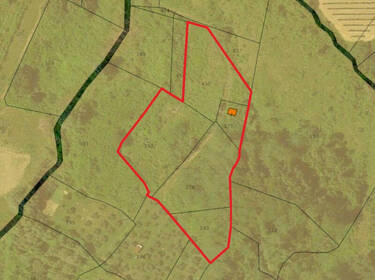 foto principale del terreno