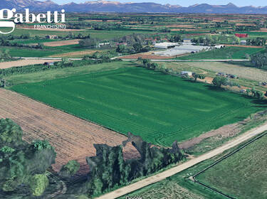 foto principale del terreno