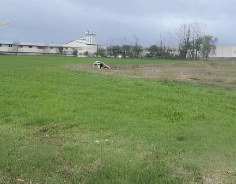 foto principale del terreno