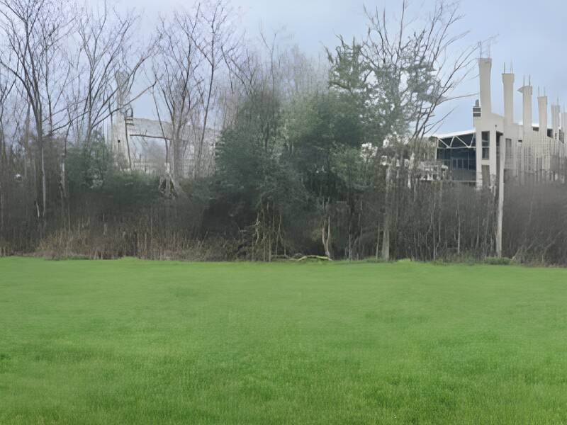 foto principale del terreno