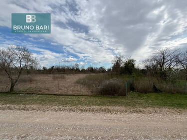 foto principale del terreno