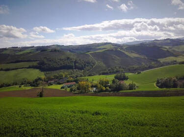 foto principale del terreno