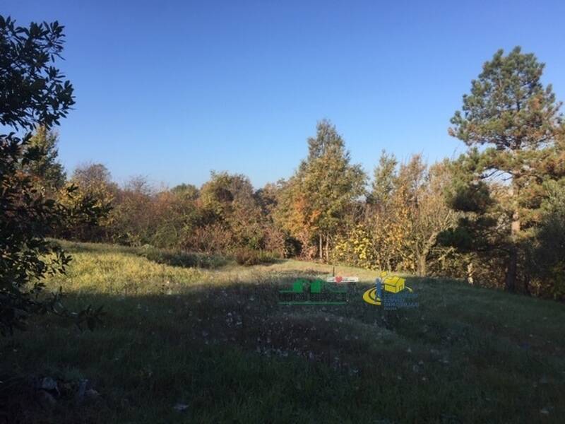 foto principale del terreno