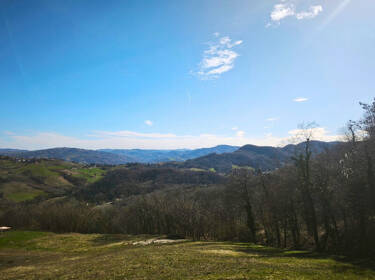 foto principale del terreno