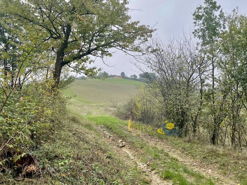 foto principale del terreno