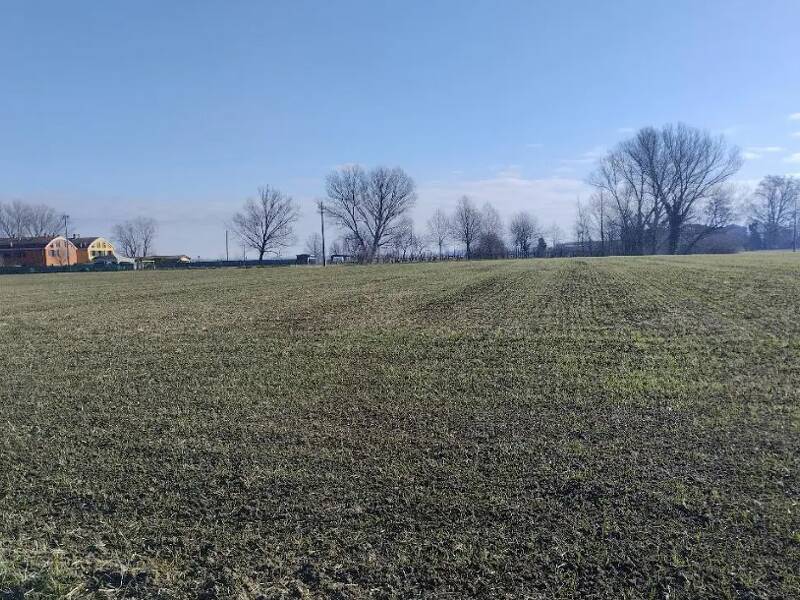 foto principale del terreno