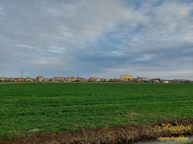 foto principale del terreno
